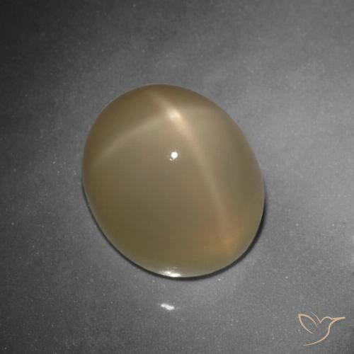 10.80ct Naturale Arancio medio-scuro Pietra di luna stellata, Ovale, Traslucido