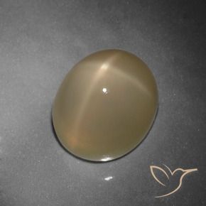 Pietra di luna stellata Arancio medio-scuro naturale da 10.80 ct, Ovale, Traslucido