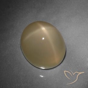 Pietra di luna stellata Arancio medio-scuro naturale da 10.80 ct, Ovale, Traslucido