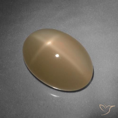 9.26ct Naturale Cantalupo Arancia Pietra di luna stellata, Ovale, Traslucido