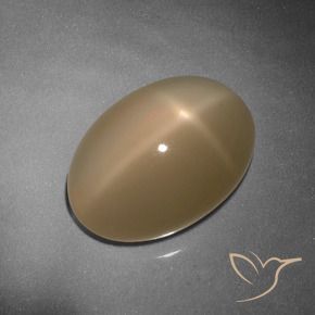 Pietra di luna stellata Cantalupo Arancia naturale da 9.26 ct, Ovale, Traslucido