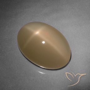 Pietra di luna stellata Cantalupo Arancia naturale da 9.26 ct, Ovale, Traslucido
