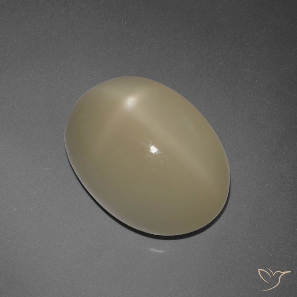 7.30ct Naturale Marrone chiaro Pietra di luna stellata, Ovale, Traslucido