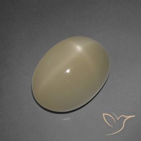 Pietra di luna stellata Marrone chiaro naturale da 7.30 ct, Ovale, Traslucido