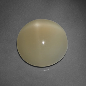 Pietra di luna stellata naturale marrone da 7,63 ct, taglio rotondo, traslucido