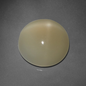 Pietra di luna stellata naturale marrone da 7,63 ct, taglio rotondo, traslucido