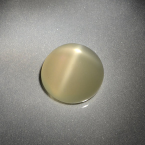 Pietra di luna stellata Color crema naturale da 3.69 ct, Taglio rotondo, Traslucido