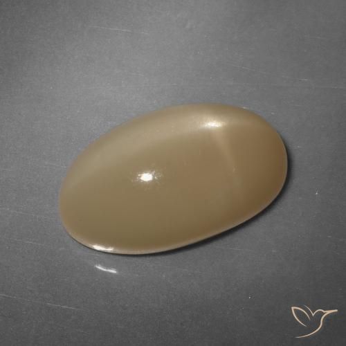 11.04ct Naturale Cantalupo Arancia Pietra di luna stellata, Ovale, Traslucido