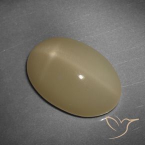 Pietra di luna stellata naturale arancione da 12,43 ct, taglio ovale, traslucido