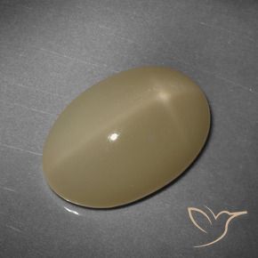 Pietra di luna stellata naturale arancione da 12,43 ct, taglio ovale, traslucido