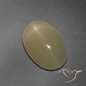 Pietra di luna stellata Tortilla Marrone Chiaro naturale da 4.86 ct, Ovale, Traslucido