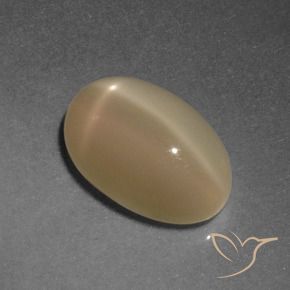 Pietra di luna stellata Arancio Medio naturale da 4.67 ct, Ovale, Traslucido