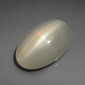 Pietra di luna stellata naturale crema da 7,36 ct, taglio ovale, traslucido