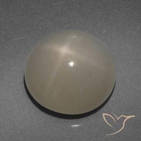 Pietra di luna stellata Marrone chiaro naturale da 7.71 ct, Taglio rotondo, Traslucido
