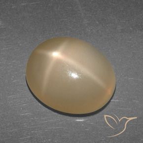 Pietra di luna stellata Arancio medio-scuro naturale da 5.27 ct, Ovale, Traslucido