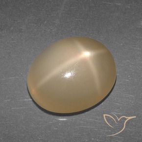 Pietra di luna stellata Arancio medio-scuro naturale da 5.27 ct, Ovale, Traslucido