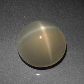 Pietra di luna stellata Color crema naturale da 4.77 ct, Taglio rotondo, Traslucido