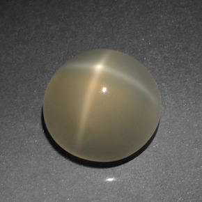 Pietra di luna stellata Color crema naturale da 4.77 ct, Taglio rotondo, Traslucido
