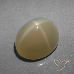 Pietra di luna stellata Marrone Molto Chiaro naturale da 5.23 ct, Ovale, Traslucido