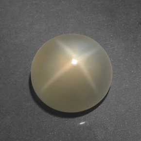 Pietra di luna stellata Color crema naturale da 4.58 ct, Taglio rotondo, Traslucido
