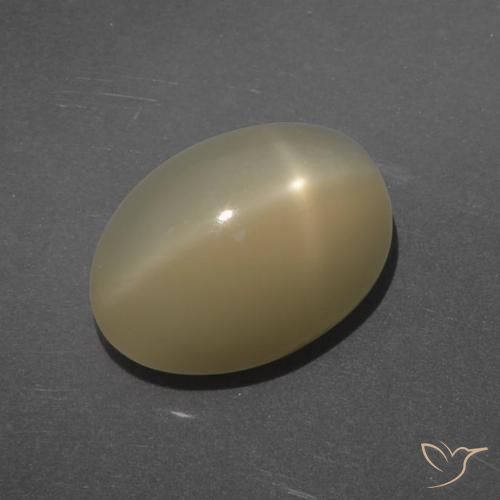 7.14ct Naturale Marrone chiaro Pietra di luna stellata, Ovale, Traslucido, Photo A