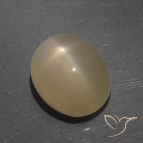 Pietra di luna stellata Arancio medio-scuro naturale da 7.35 ct, Ovale, Traslucido