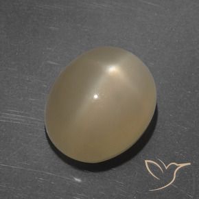 Pietra di luna stellata Arancio medio-scuro naturale da 7.35 ct, Ovale, Traslucido