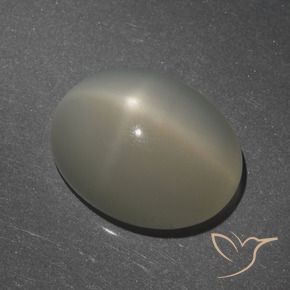 Pietra di luna stellata Marrone Caffè Chiaro naturale da 7.62 ct, Ovale, Traslucido