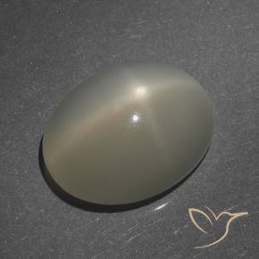 Pietra di luna stellata Marrone Caffè Chiaro naturale da 7.62 ct, Ovale, Traslucido