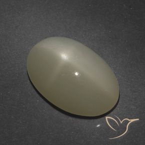 Pietra di luna stellata Marrone Caffè Chiaro naturale da 7.66 ct, Ovale, Traslucido