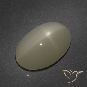 Pietra di luna stellata Marrone Caffè Chiaro naturale da 7.66 ct, Ovale, Traslucido