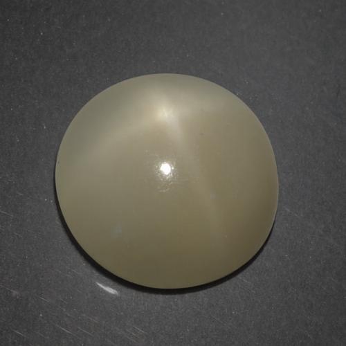Pietra di luna stellata naturale marrone da 7,18 ct, taglio rotondo, traslucido