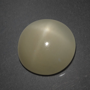 Pietra di luna stellata naturale marrone da 7,18 ct, taglio rotondo, traslucido