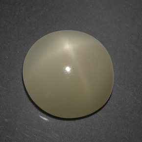 Pietra di luna stellata naturale marrone da 7,18 ct, taglio rotondo, traslucido