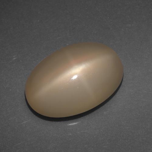Pietra di luna stellata Arancio medio-scuro naturale da 6.77 ct, Taglio ovale, Traslucido