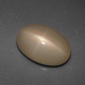 Pietra di luna stellata Arancio medio-scuro naturale da 6.77 ct, Taglio ovale, Traslucido