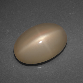 Pietra di luna stellata Arancio medio-scuro naturale da 6.77 ct, Taglio ovale, Traslucido