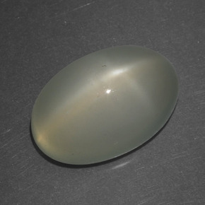 Pietra di luna stellata naturale bianco da 6,74 ct, taglio ovale, traslucido