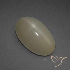 Pietra di luna stellata Marrone chiaro naturale da 6.48 ct, Ovale, Traslucido
