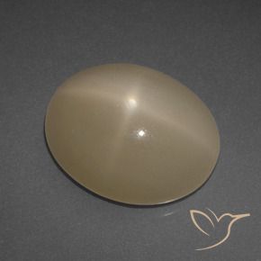 Pietra di luna stellata Arancio medio-scuro naturale da 6.95 ct, Ovale, Traslucido