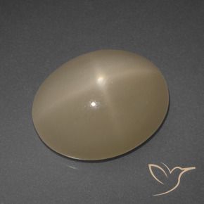 Pietra di luna stellata Arancio medio-scuro naturale da 6.95 ct, Ovale, Traslucido