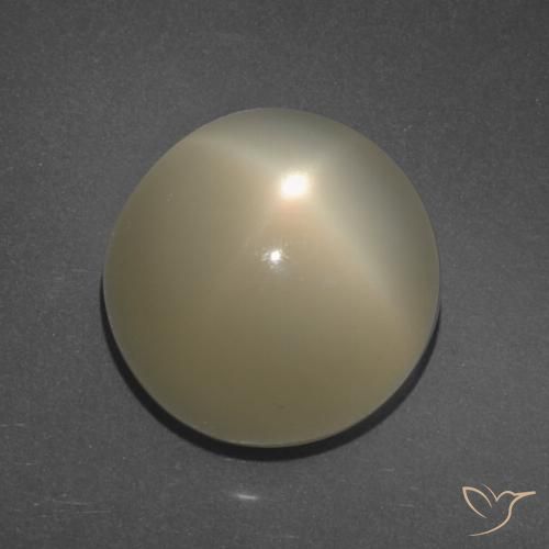 11.34ct Naturale Marrone Caffè Chiaro Pietra di luna stellata, Rotondo, Traslucido, Photo A