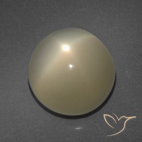 Pietra di luna stellata Marrone Caffè Chiaro naturale da 11.34 ct, Rotondo, Traslucido