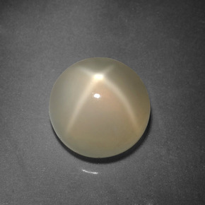 Pietra di luna stellata Color crema naturale da 3.90 ct, Taglio rotondo, Traslucido