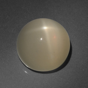 Pietra di luna stellata Color crema naturale da 8.63 ct, Taglio rotondo, Traslucido