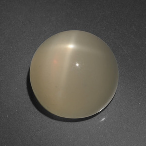 Pietra di luna stellata Color crema naturale da 8.63 ct, Taglio rotondo, Traslucido