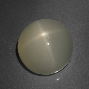 Pietra di luna stellata Color crema naturale da 8.33 ct, Taglio rotondo, Traslucido