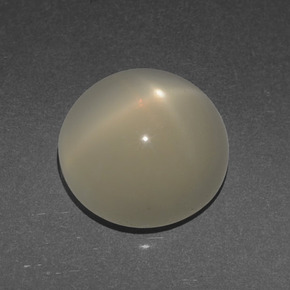 Pietra di luna stellata naturale crema da 3,56 ct, taglio rotondo, traslucido