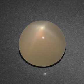 Pietra di luna stellata pesca crema naturale da 3.77 ct, Taglio rotondo, Traslucido
