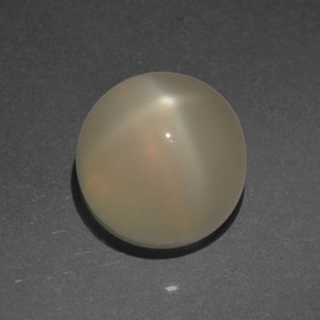Pietra di luna stellata Color crema naturale da 4.53 ct, Taglio rotondo, Traslucido